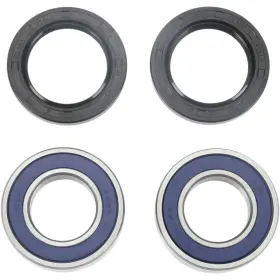 25-1273-a All Balls Wheel Bearing Kit