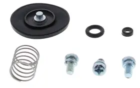 46-3011 All Balls Accelerator Pump Rebuild Kit