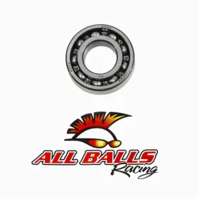 6205-c3 All Balls 6205c3 Engine Bearing