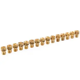 Dreamhighhusa 550739948666 For Hercules Prima 2 3 4 5 6 Nozzle Kit Head Puch Bing Kreidler Z Ndapp 15pcs