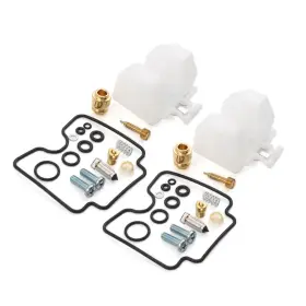 Dreamhighhusa 550745839224 Fit Yamaha V-star 1100 Xvs1100 1999-2005 Carburetor Repair Kit Air Screw Float