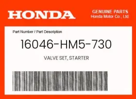 16046-hm5-730 Honda Genuine Valve Set Starter -