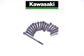 132bb0630 Kawasaki #377 Right Engine Clutch Cover Bolt Set Klr650 Klr 650 2011-2018