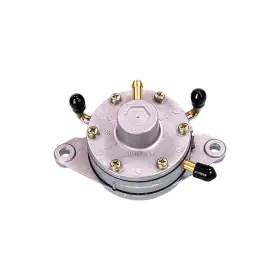 14-2223 Mikuni Fuel Pump Dual Round - Flush Mount