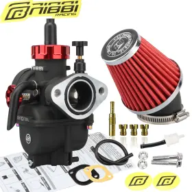 Pe17flyj-kl-48wt-r Nibbi Pe17 Carburetor Air Filter For Honda Taotao Apollo Lifan Kayo Ssr Cg Gy6
