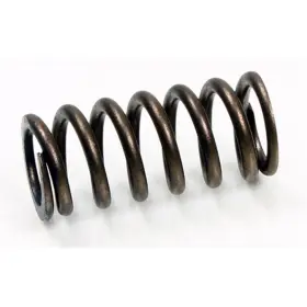Xu-09519is Psychic Mx Components Intake Valve Spring For Gas Ec300-f