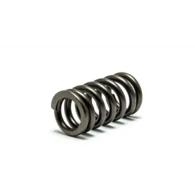 Xu-09521s Psychic Mx Components Exhaust/intake Valve Spring For Gas Ec450-f