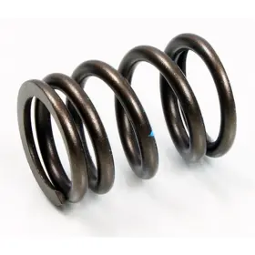 Xu-09527is Psychic Mx Components Intake Valve Spring For Suzuki Rmz/rmx 450