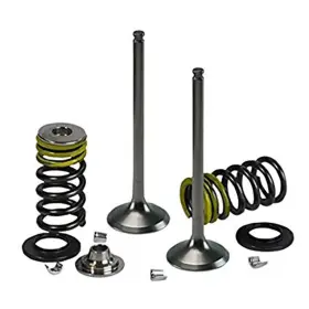Xu-09555ik Psychic Mx Components Intake Valve Kit For Husaberg/husqvarna Fe350 /ktm 350 Exc/xcf