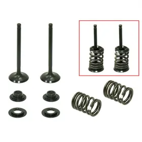 Xu-09558ik Psychic Mx Components Valve Kit- Intake