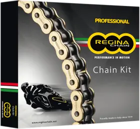 Ft93-ft99 Regina Kd003 Chain And Sprocket Kit - Ducati 900 Monster