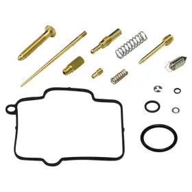 Orsh-dy505339-wx Shindy 2000-2004 Kawasaki Kx250 Dirt Bike Carburetor Rebuild Kit