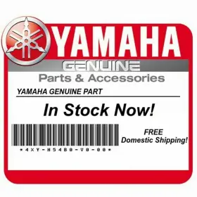256-17241-00-00 Yamaha 97885-05016 Oem Pan Head Screw Qty 2