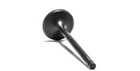 Psychic Intake Valve XU-09522I New. Price: $23.88.