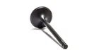Psychic Intake Valve XU-09553I New. Price: $20.85.