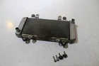2015 Kawasaki Ninja EX300 Engine Radiator Motor Cooler Cooling 39060-0710 Used. Price: $39.99.