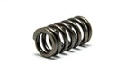 Psychic Exhaust Valve Spring XU-09541ES New. Price: $6.60.