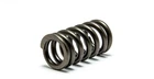 Psychic Intake Valve Spring XU-09545IS New. Price: $8.50.