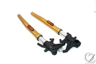 19-20 Indian Ftr 1200S Front Forks Suspension Used. Price: $239.96.