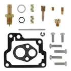 Balls 26-1119 Carburetor Rebuild Kit New. Price: $25.00.