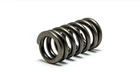 Psychic Intake Valve Spring XU-09552IS New. Price: $7.95.