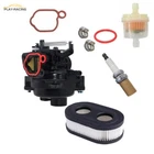 Brand New Carburetor Assembly Fit For Briggs & Stratton 84002107 799584. Price: $17.23.