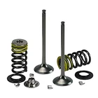 Psychic Mx Components Intake Valve Kit For Honda CRF250R '16-17 XU-09523-1IK New. Price: $59.37.