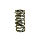 XU-09551IS Psychic Intake Valve Spring New. Price: $11.03.