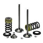 Psychic Intake Valve Kit #XU-09545IK For Honda EXPERT/CRF150R New. Price: $67.76.