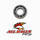 Balls Engine Bearing 6205-C3 6205C3 New. Price: $21.45.