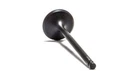 Psychic Intake Valve XU-09545I New. Price: $26.99.