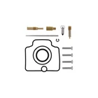 Balls Carburetor Rebuild Kit 26-1113 New. Price: $36.55.