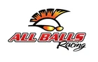 Balls 26-1125 Racing Caburetor Kit Alm New. Price: $52.21.