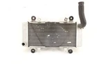 2015 Kawasaki Ninja EX300B Abs Oem Engine Radiator Motor Cooler Cooling Used. Price: $85.59.