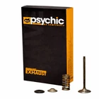 Psychic Exhaust Valve & Spring Kit Gas EC450F 2013-2015 New. Price: $62.29.