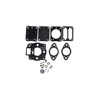 Rotary Part # 10938 Carburetor Overhaul Kit Replaces Briggs & Stratton 693503 New. Price: $29.84.
