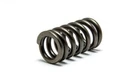 Psychic Intake Valve Spring XU-09551IS New. Price: $12.15.