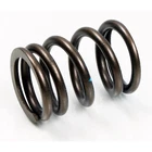 Psychic Exhaust Valve Springs XU-09527IS New. Price: $7.95.