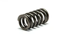 Psychic Mx Intake Exhaust Spring XU-09528ES 120571 New. Price: $14.56.