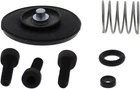 Balls 46-3011 Accelerator Pump Rebuild Kit New. Price: $25.13.
