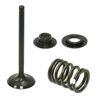 Psychic Intake Valve Kit For Honda CRF110F Fits 2013-2023 Models New. Price: $34.95.