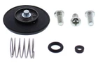 Balls 46-3005 Accelerator Pump Rebuild Kit New. Price: $30.87.