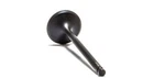 Psychic Intake Valve XU-09504I New. Price: $27.99.