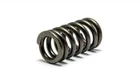 Psychic Exhaust Valve Springs XU-09528ES New. Price: $13.04.