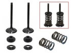 Psychic Exhaust Valve Kit XU-09527EK New. Price: $58.24.