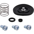 New Balls Accelerator Pump Rebuild Kit For Ktm 450 Exc-g 03 Exc-r 08. Price: $25.13.