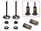 Psychic Intake Valve Kit XU-09554K New. Price: $67.30.
