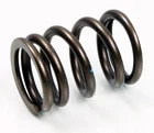 Psychic Intake Valve Spring XU-09527IS New. Price: $7.95.