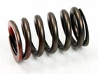 Psychic Exhaust Valve Spring XU-09528ES New. Price: $7.95.