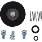 Balls Accelerator Pump Rebuild Kit 46-3007 New. Price: $25.88.